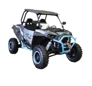1000cc Off Road Gas Powered Sand Buggy 2 Seater Adult Go Kart Cooling Liquid 4WD 4 Stroke Automatic Transmission EPA Certified