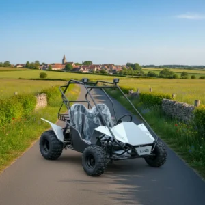 1000w Electric Go Kart Go Carts Electric Electric Buggy