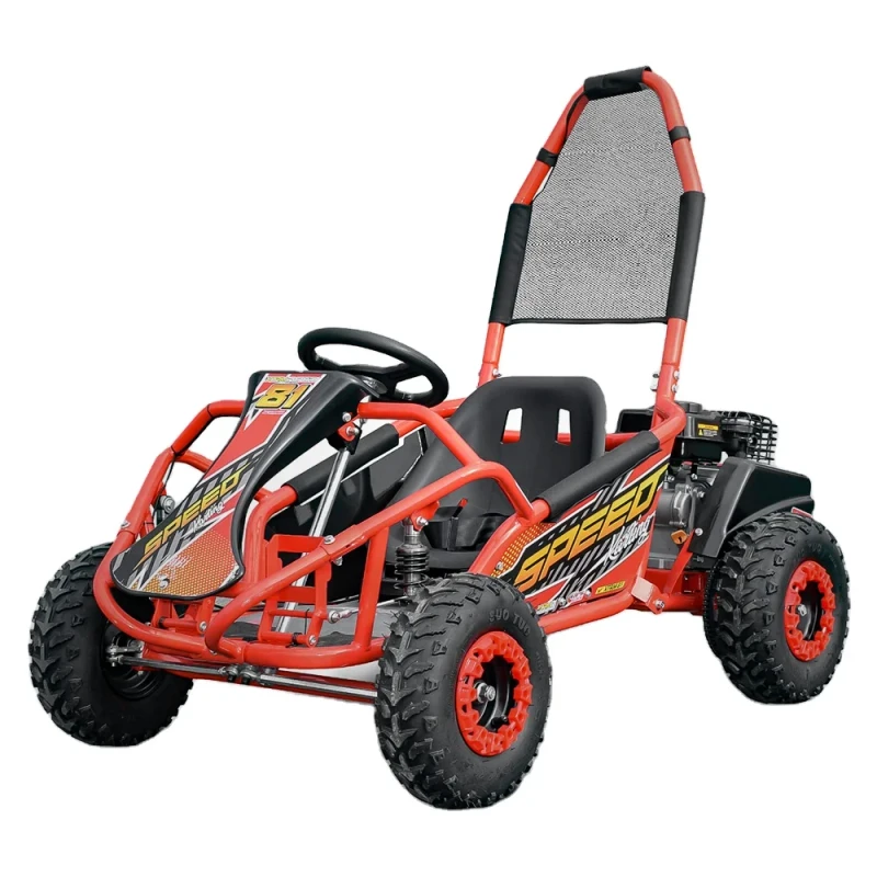 100cc Go Kart Kit for Kids with CE EPA