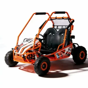 120cc Gas Powered 4 Stroke Chain Electric Drive Off-Road Go Kart Buggy for Adults with Attractive Design