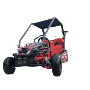125CC Gas Chain Drive Outdoor Go Kart for Adults with 2 Seats