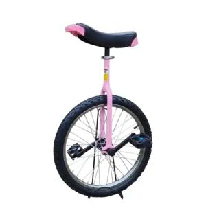 16 Inch Road Bicycle One Wheel Bicycle Kids Balance Bike
