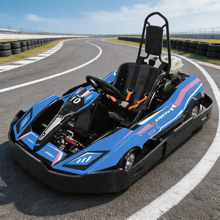 160cc Gasoline Go Kart for Adults High Speed Racing Kart Single Seater Adult Gas Powered Go Kart for Club Track