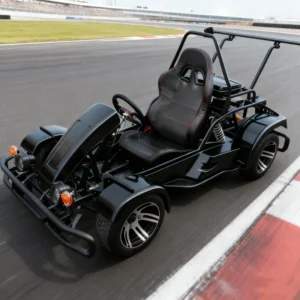 170cc CVT Transmission Go Kart Racing Kart Gasoline Off road Buggy Sports Club Karting