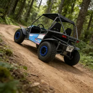 180CC Off Road Fuel Go Kart Double Seats 60v20ah Buggy Differential Automatic Transmission Chain Drive UTV