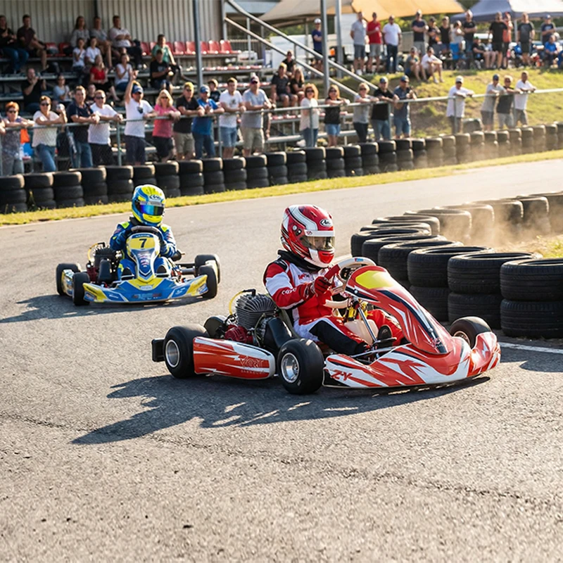 2 STROKE Racing Karting Car Hon-da Engine Drift Kart Gas Go Kart for Kids