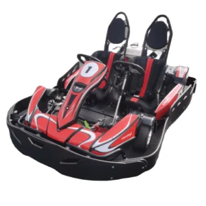 2 Seater Gas Powered Go Kart Chain Drive with Pull Start Up