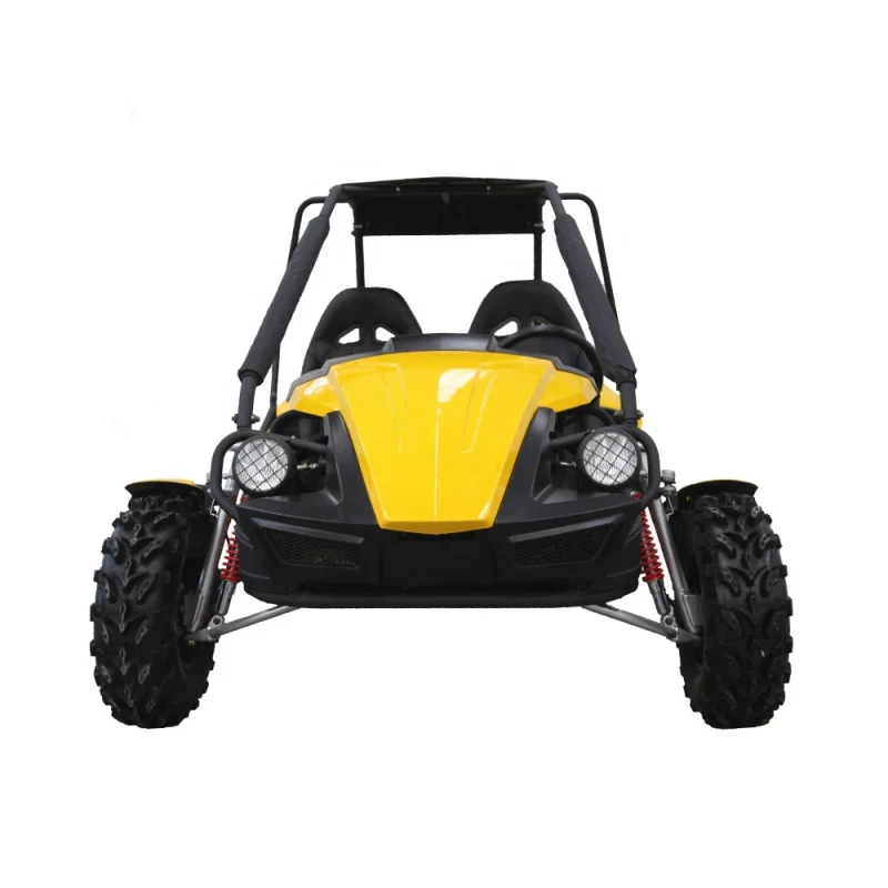2 Seater Go Karts for Sale dune Buggy for Adult