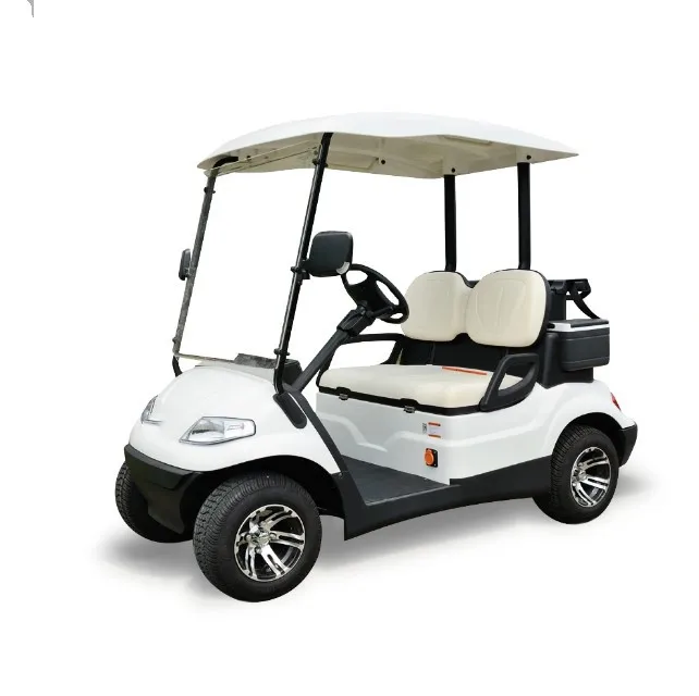 2 Seater Lifted Golf Cart Buggy Car with 48v AC Motor