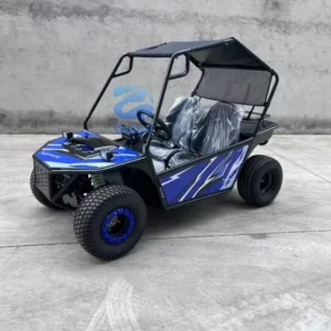 2 Seats Go Kart Cart Off Road Beach Dune Buggy Cross Go Karts Deposit Special Transportation Mini Jeep Cart