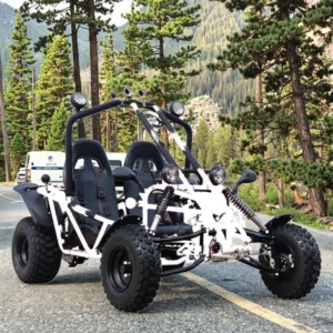 200C Electric Pedal Go Kart Buggy 200cc/150cc Chain Drive Disc Brake