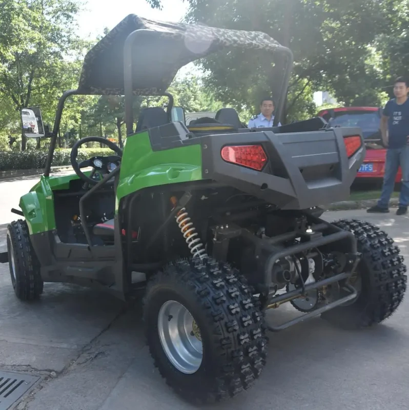 200CC 4X2 Dune Buggy Off Road Buggy EEC Go Kart