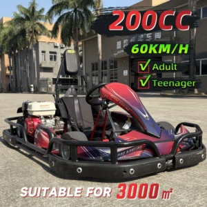 200CC Adult Gas Go Kart for Teens Adults Single Seat 4-Point Safety Belt Rear Wheel Chain Drive Drift Racing 60KM/H