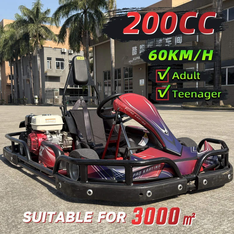 200CC Adult Gas Go Kart for Teens Adults Single Seat 4-Point Safety Belt Rear Wheel Chain Drive Drift Racing 60KM/H