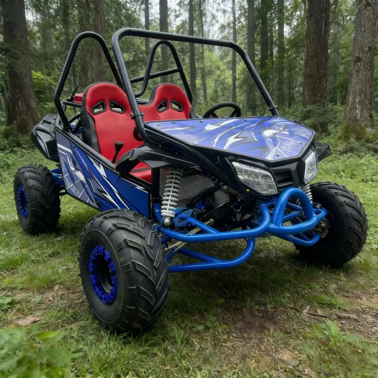 200CC Gas Go Karts Shaft Drive 2 Seat Kart Road Mountain Racing for Outdoor Independent Suspension Off road Go kart Auto