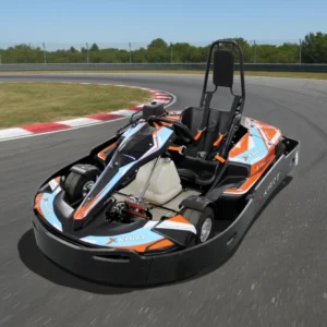 200cc 270cc 390cc Adult Gasoline Go Karts Professional Racing Kart for Track Business