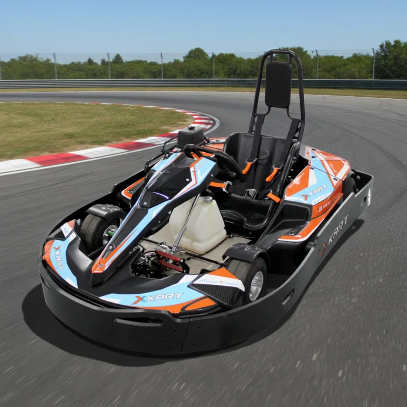 200cc 270cc 390cc Adult Gasoline Go Karts Professional Racing Kart for Track Business