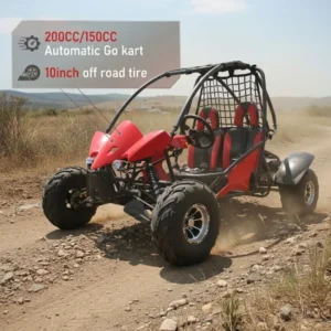 200cc Chain Drive Disc Brake Go Kart Buggy for Adults