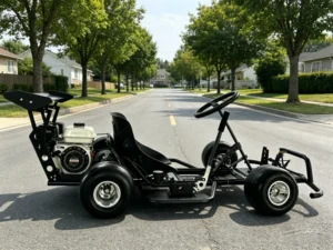 200cc Chain Drive Drift Buggy Go Kart Gasoline Powered 4 Stroke with Hydraulic Disc Brake Outdoor