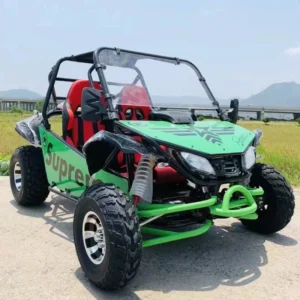 200cc Gasoline Engine Pedal-Driven Go Kart New Condition Off-Road Beach Dune Buggy Disc Brake Adults Birui BR-UTV-4