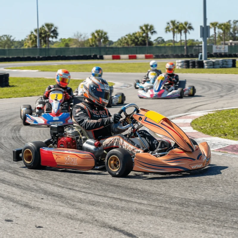200cc Gasoline Go Karts for Adults Racing Kart Single Seater Adult Gas Go Kart for Club Personal Track