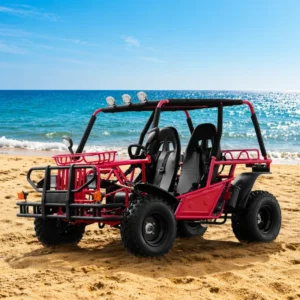 200cc Gasoline Racing Go Kart for Adults Off Road Pedal Go Kart with Chain Drive 12V 4 Stroke Engine Automatic 60km/h Outdoor