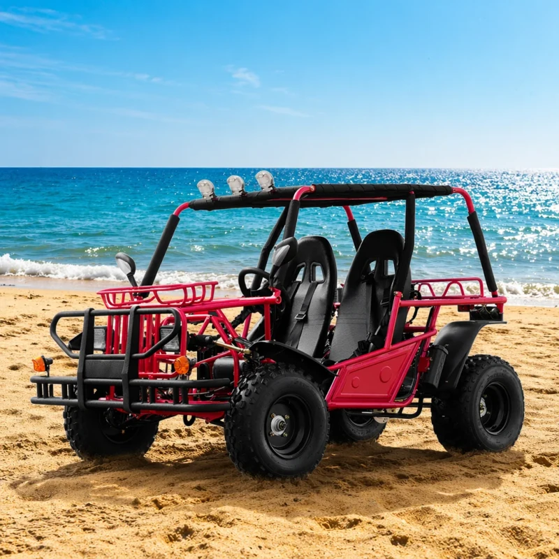 200cc Gasoline Racing Go Kart for Adults Off Road Pedal Go Kart with Chain Drive 12V 4 Stroke Engine Automatic 60km/h Outdoor