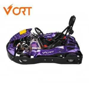200cc Go Kart Professional Racing Kart for Large Track Operations Go Kart Gasolina