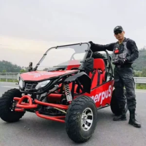 200cc Sport Go Kart Adult Racing Version High Power Fast Shipping AliExpress
