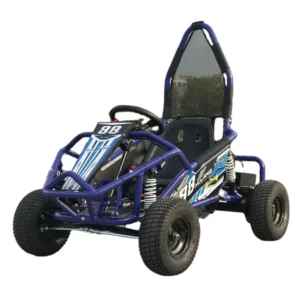 2022New 200cc Children’s Go kart