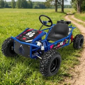 212cc Racing Kart Petrol Powered Adult Outdoor Four Stroke Engine High Speed Go Kart for Sports and Recreation