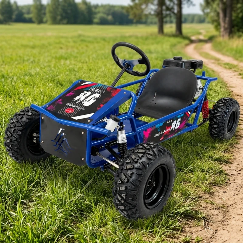 212cc Racing Kart Petrol Powered Adult Outdoor Four Stroke Engine High Speed Go Kart for Sports and Recreation