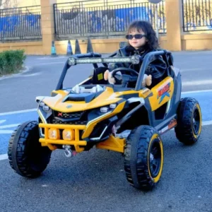 24V 2 Seater UTV Kids Ride on Car with Parent Remote Control 4WD Battery Powered Electric Toy Truck Car with EVA Tire