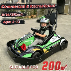 24v Kids Electric Go-karts 25km/h Amusement Park Commercial Drift Go Cart