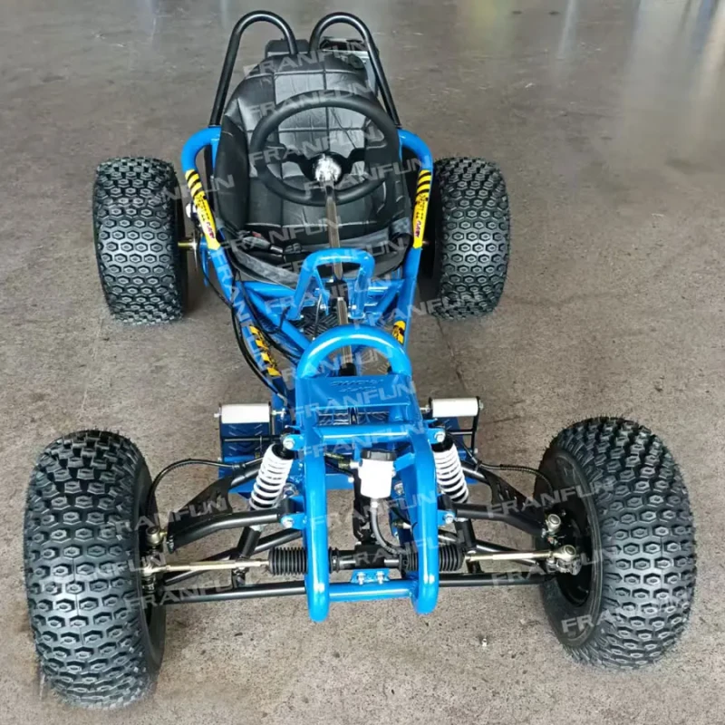 270cc Automatic Wet Clutch Transmission off Road Go kart 8 Inch Large Tyres Passionate Outdoor Adults 4 Wheels Buggy