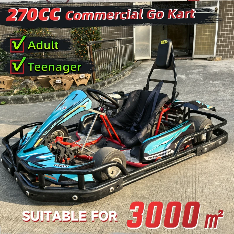 270cc Commercial Adult 4 Strokes Petrol Go Karts Gasoline Engine Drift 70KM/H