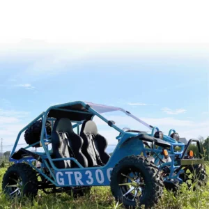 300CC Adult Go Kart Pedal Racing Golf Cart Two Seat Dune Buggy Electric Start Off road Beach Buggy