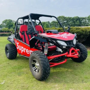 300CC Gas Go Karts UTV Shaft Drive 2 Seat Kart Road Mountain Racing for Outdoor Scenarios