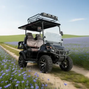 4-seater Electric Mini Golf Cart Electric Sightseeing Club Car Adjustable Seats for Vacation Trips