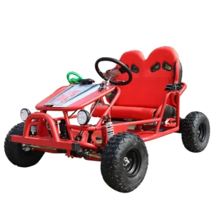 48V 500W Electric Off Road Go Kart All Terrain Racing Dune Buggy for Adults 2 Seater 35 40KM Range Outdoor