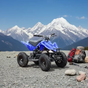 49CC Two stroke Children’s Beach Go kart Mini Four wheel Off road All terrain Vehicle