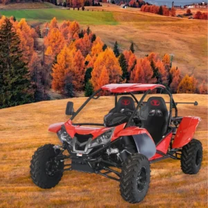 500CC Go Kart 4×4 Four Strokes Off Road Adult UTV Double Seats Dune Buggy With 500CC ZS Engine