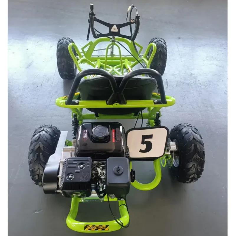 6.5HP 196CC Kids Outdoor Grassland Gliding 4 Stroke Suspension Go Carts Mini Car with Cushion