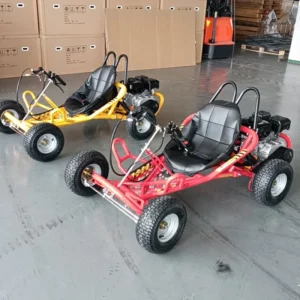 6.5HP 196cc 200cc 210cc Teen agers Two wheel Drive Beach Cruiser Go Kart