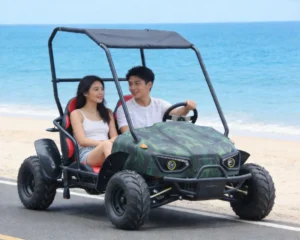 60V2000W Shaft Drive Electric Go Kart Parent Child Two Seater Outdoor Amusement Park Ride