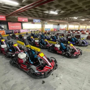 60km/h Adult Gas Go Kart Fast Speed 50-200CC Motor Indoor/Outdoor