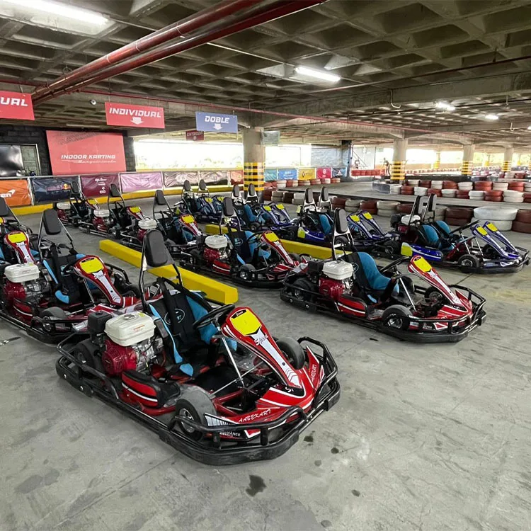 60km/h Adult Gas Go Kart Fast Speed 50-200CC Motor Indoor/Outdoor