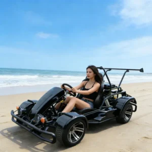 75km/h Gasoline Off Road Go Karts Powerful Drive Drift Karting Car Full Hydraulic Disc Brake Buggy