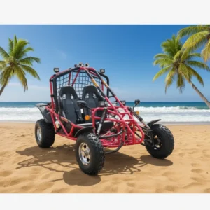 Adult 4 Stroke Gasoline 200cc Chain Drive Pedal Go Kart Outdoor Racing 60km h