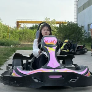 Adult Electric Go Kart with 60V40A Lithium Battery Factory Co operating Product